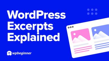 What are Excerpts On WordPress & How To Use Them