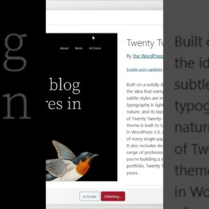 Using a lightweight theme in wordpress #wordpress #shorts