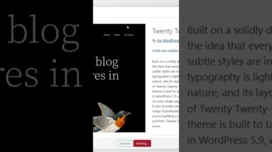 Using a lightweight theme in wordpress #wordpress #shorts