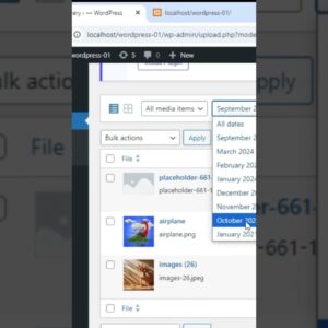 how to organize images by data in WordPress #shorts #wordpress