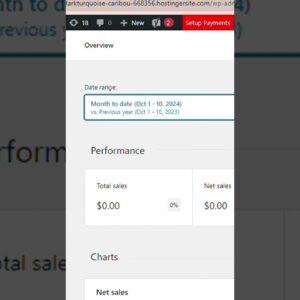 Woocommerce analytics  #shorts #wordpress