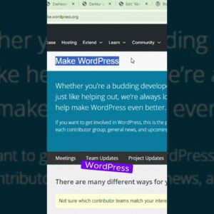 wordpress community updates #shorts #wordpress